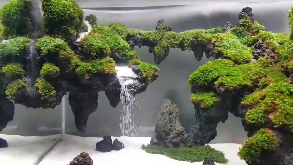 Detail Contoh Aquascape Air Terjun Nomer 55