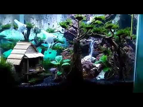 Detail Contoh Aquascape Air Terjun Nomer 56