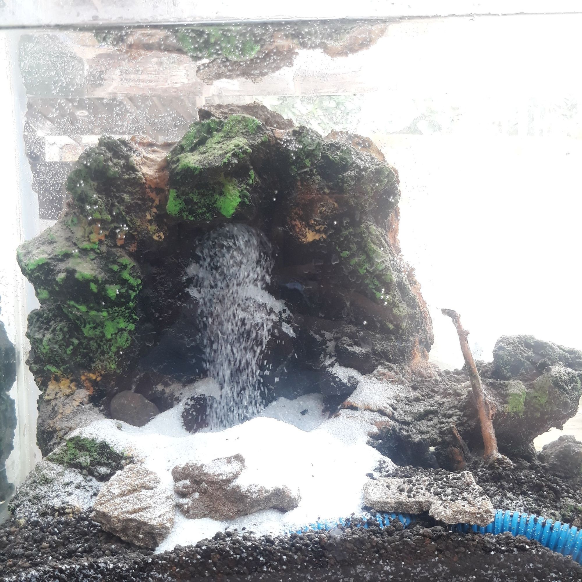 Detail Contoh Aquascape Air Terjun Nomer 57
