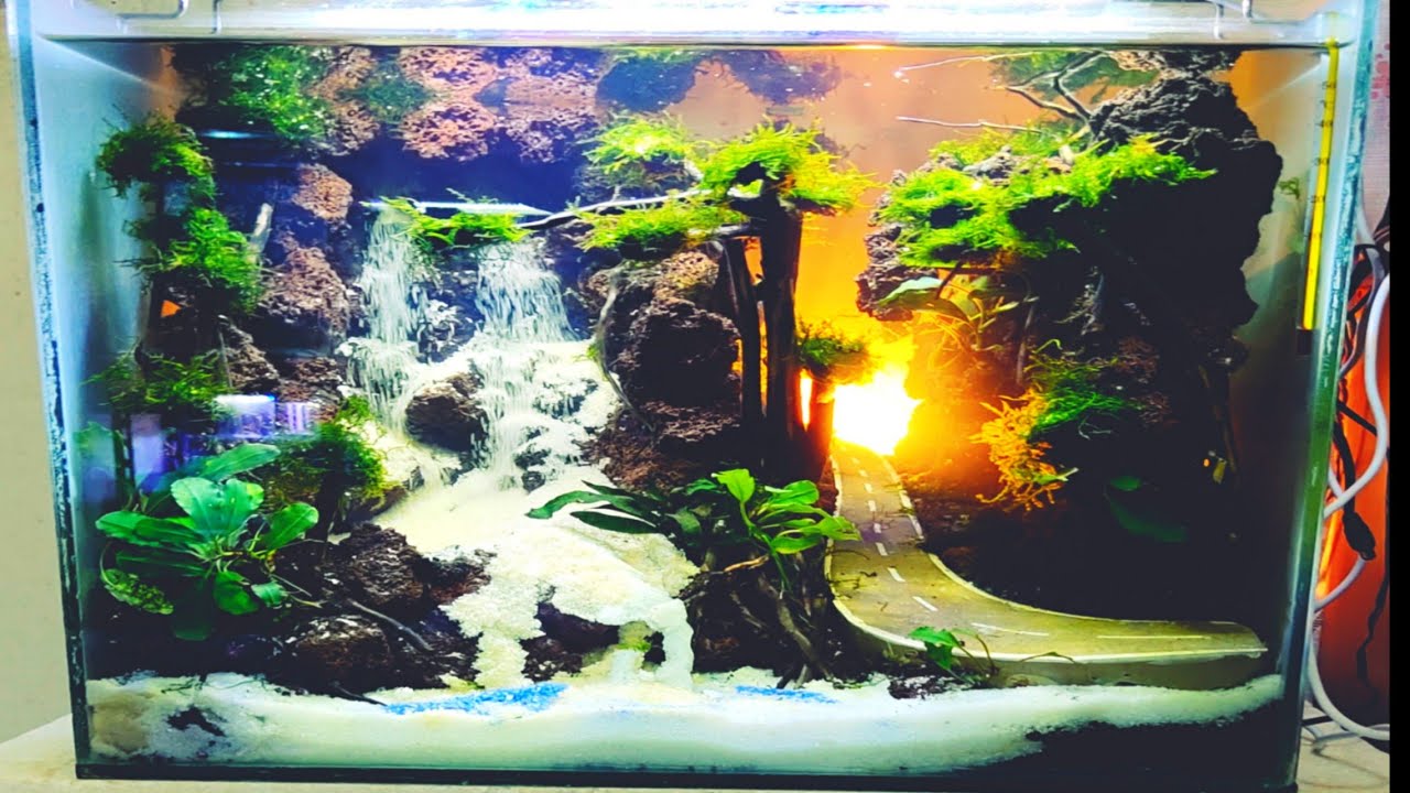 Detail Contoh Aquascape Air Terjun Nomer 7