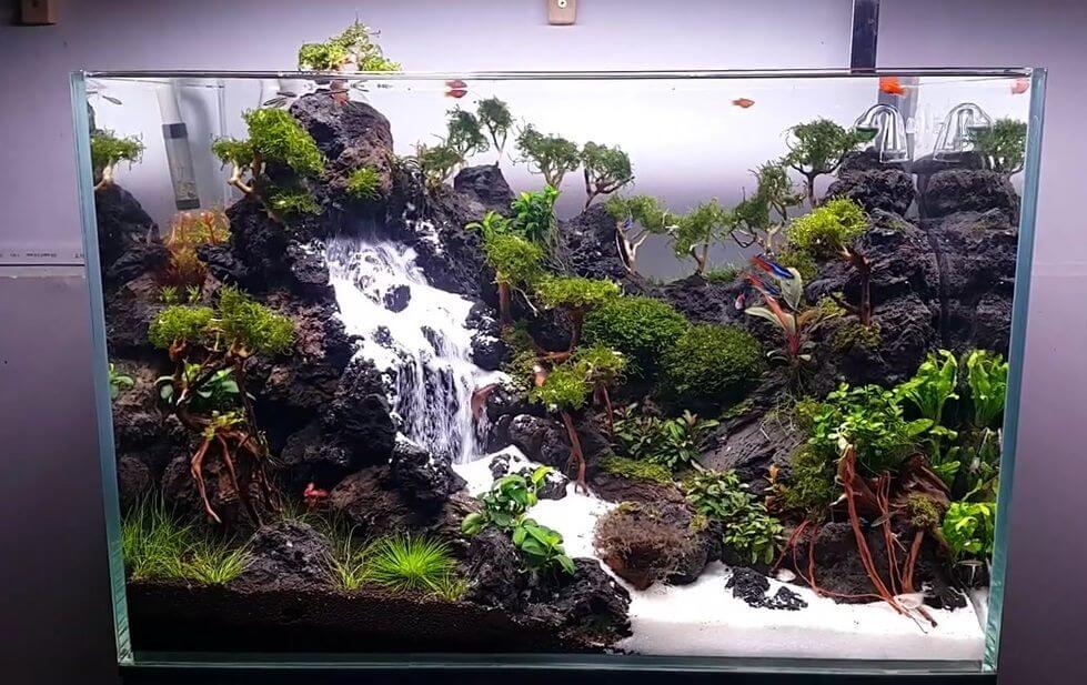 Detail Contoh Aquascape Air Terjun Nomer 8