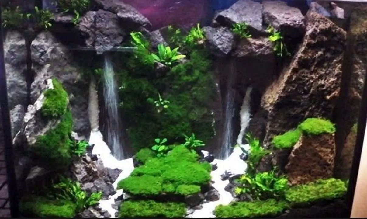 Detail Contoh Aquascape Mini Nomer 49