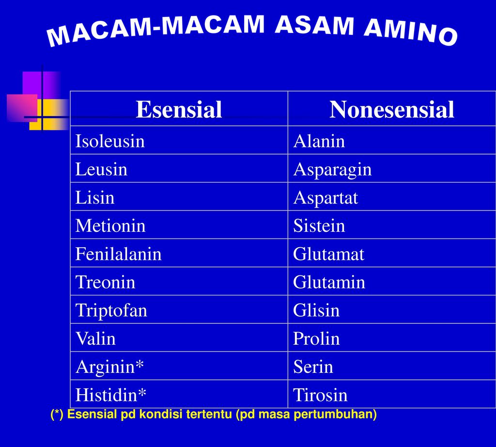 Detail Contoh Asam Amino Esensial Nomer 3