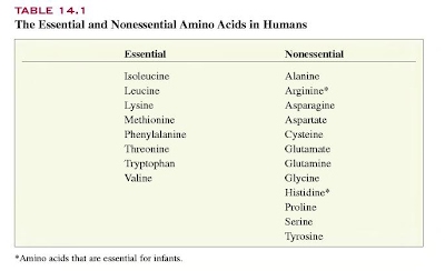 Detail Contoh Asam Amino Esensial Nomer 25