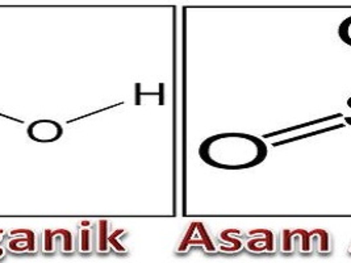 Detail Contoh Asam Anorganik Nomer 14