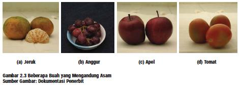 Detail Contoh Asam Anorganik Nomer 43