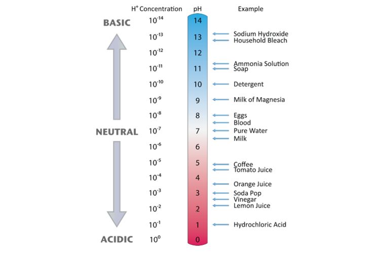 Detail Contoh Asam Kuat Asam Lemah Basa Kuat Basa Lemah Nomer 11