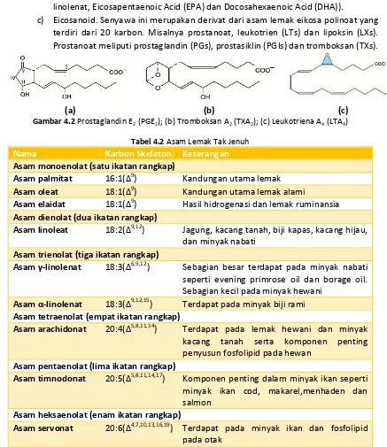 Detail Contoh Asam Lemak Tak Jenuh Nomer 10