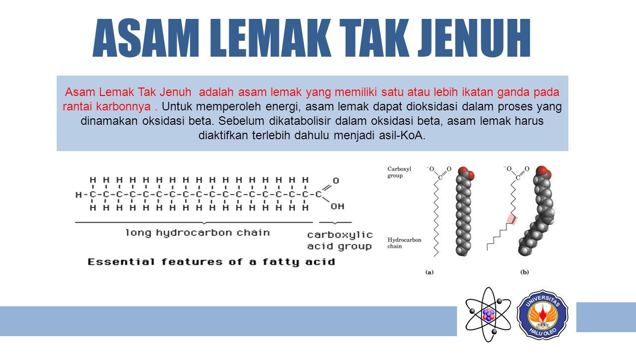 Detail Contoh Asam Lemak Tak Jenuh Nomer 15