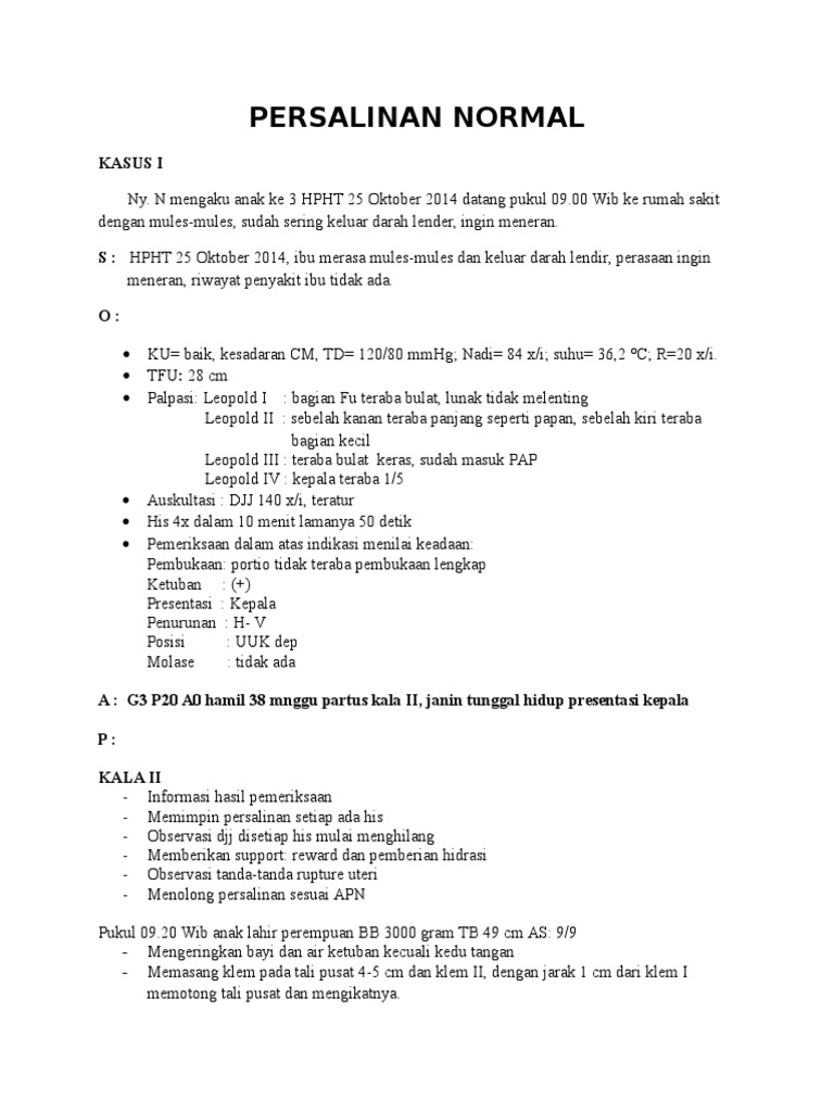 Detail Contoh Askeb Persalinan Normal Soap Nomer 12