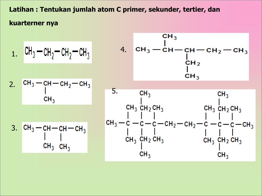 Detail Contoh Atom C Primer Nomer 16