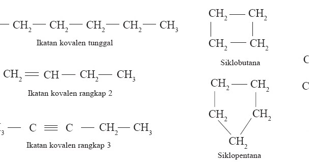 Detail Contoh Atom C Primer Nomer 21