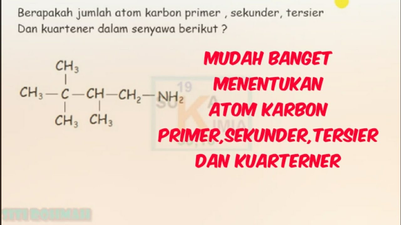 Detail Contoh Atom C Primer Nomer 24