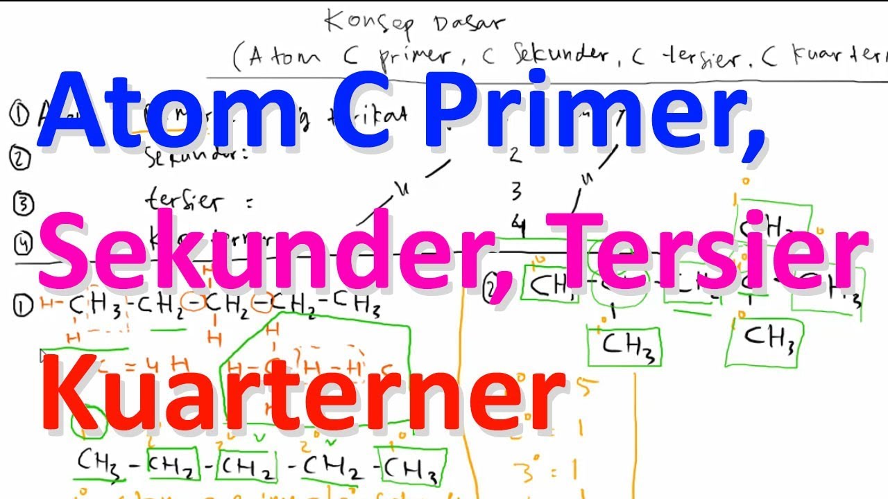 Detail Contoh Atom C Primer Nomer 30