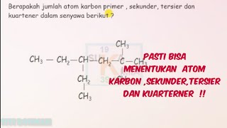 Detail Contoh Atom Karbon Primer Nomer 6