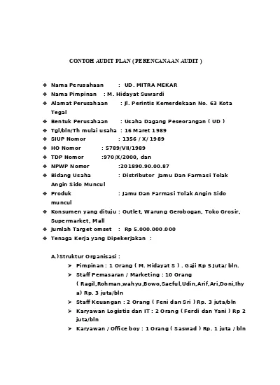 Detail Contoh Audit Eksternal Nomer 35