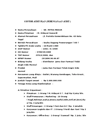 Detail Contoh Audit Plan Nomer 20