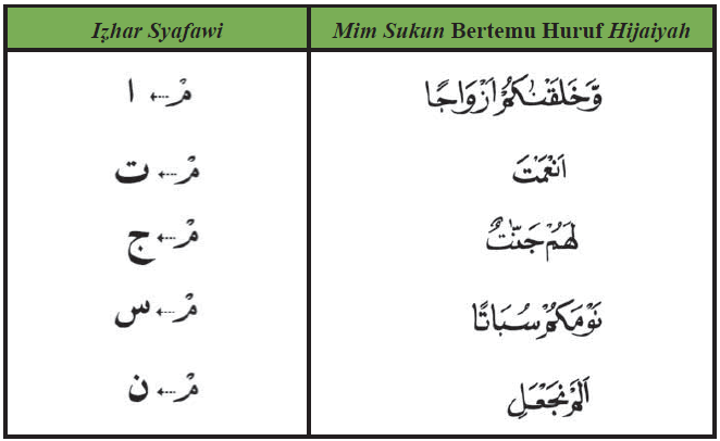 Detail Contoh Ayat Izhar Syafawi Nomer 3