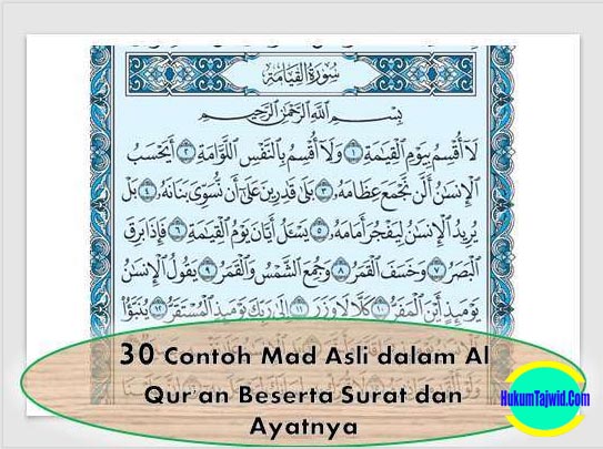 Download Contoh Bacaan Alquran Nomer 19