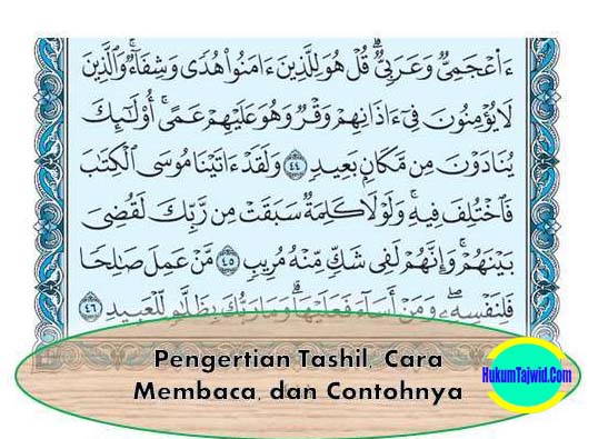 Detail Contoh Bacaan Alquran Nomer 53