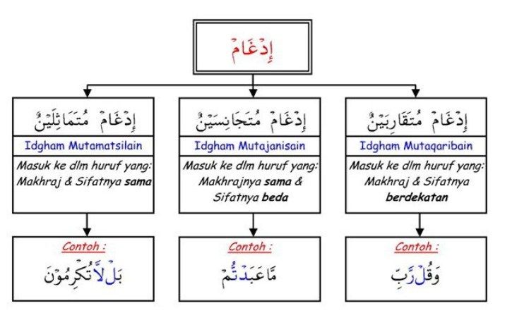 Detail Contoh Bacaan Idgham Mutajanisain Nomer 14