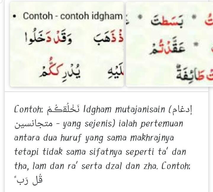 Detail Contoh Bacaan Idgham Mutajanisain Nomer 25