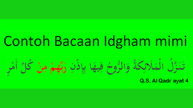 Detail Contoh Bacaan Idgham Mutajanisain Nomer 51