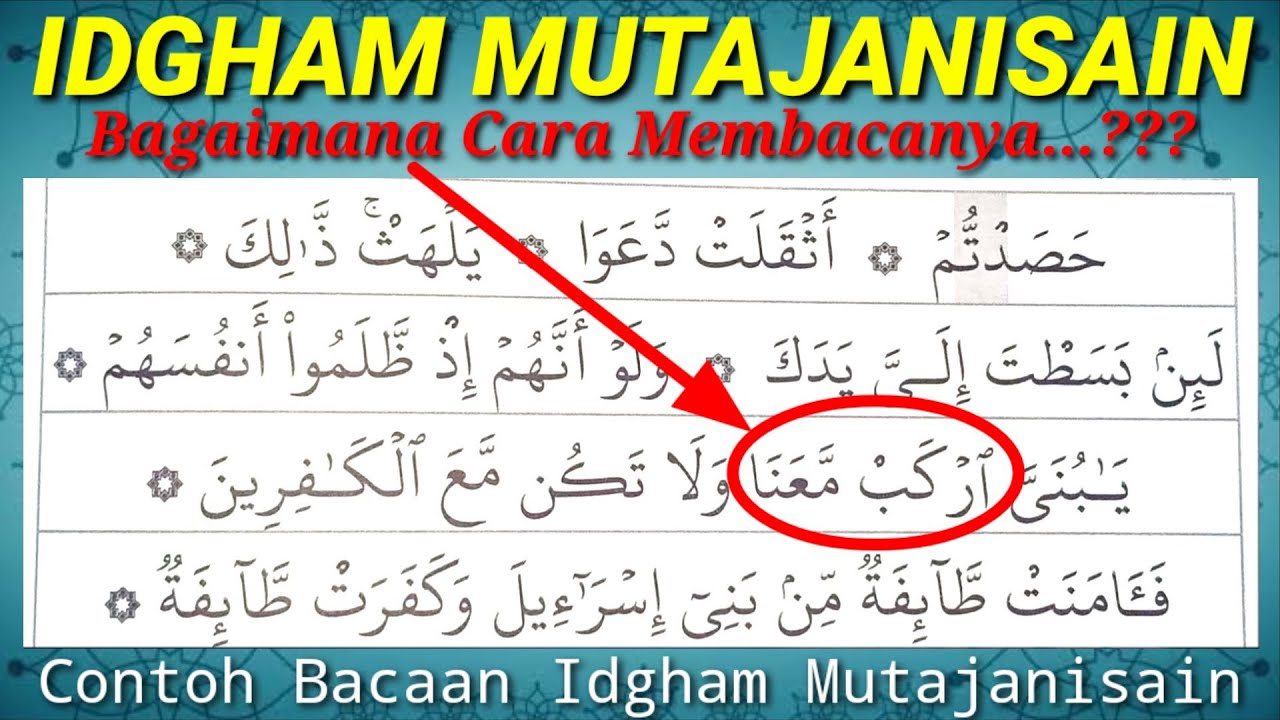 Detail Contoh Bacaan Idgham Mutajanisain Nomer 8