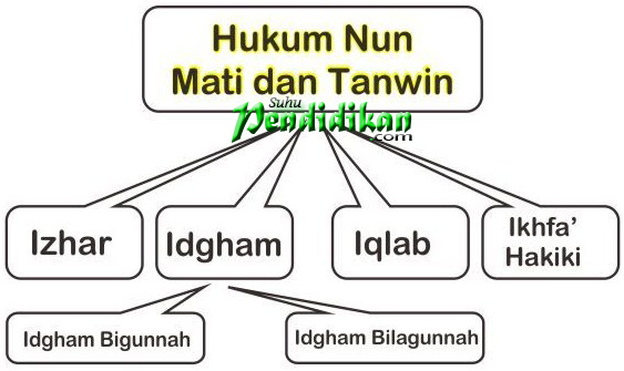 Detail Contoh Bacaan Iqlab Tanwin Nomer 33