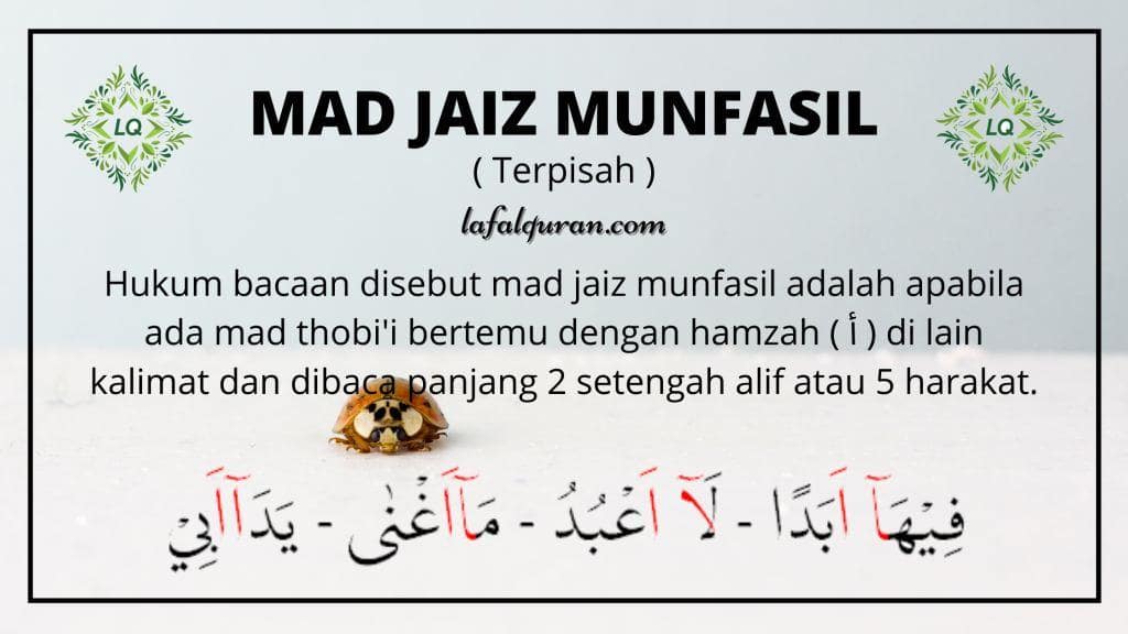 Detail Contoh Bacaan Mad Jaiz Munfasil Nomer 3