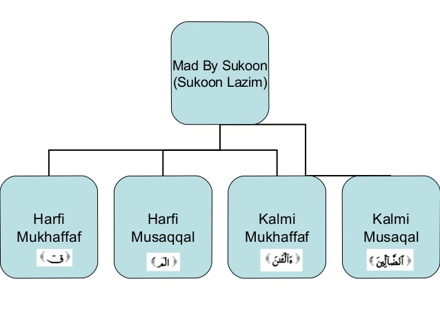 Detail Contoh Bacaan Mad Lazim Harfi Musyba Nomer 52