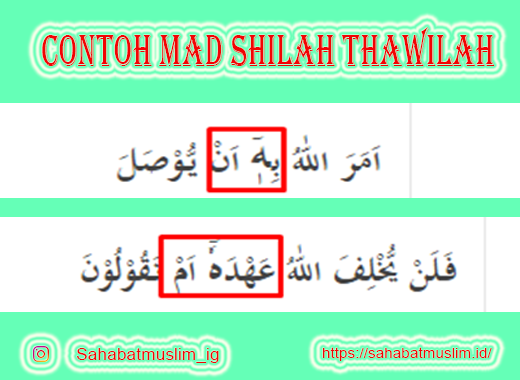 Detail Contoh Bacaan Mad Shilah Qoshiroh Nomer 5