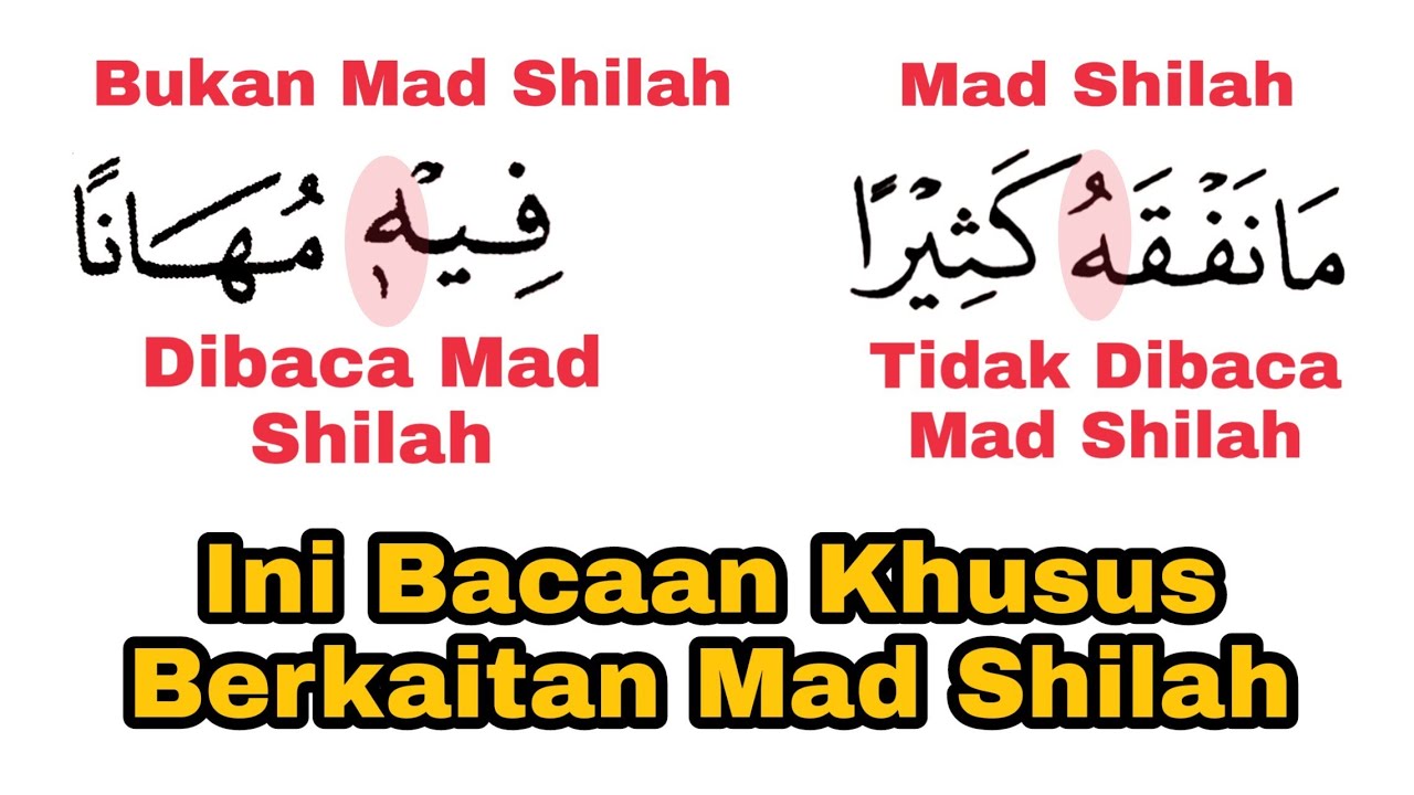 Detail Contoh Bacaan Mad Shilah Qoshiroh Nomer 50