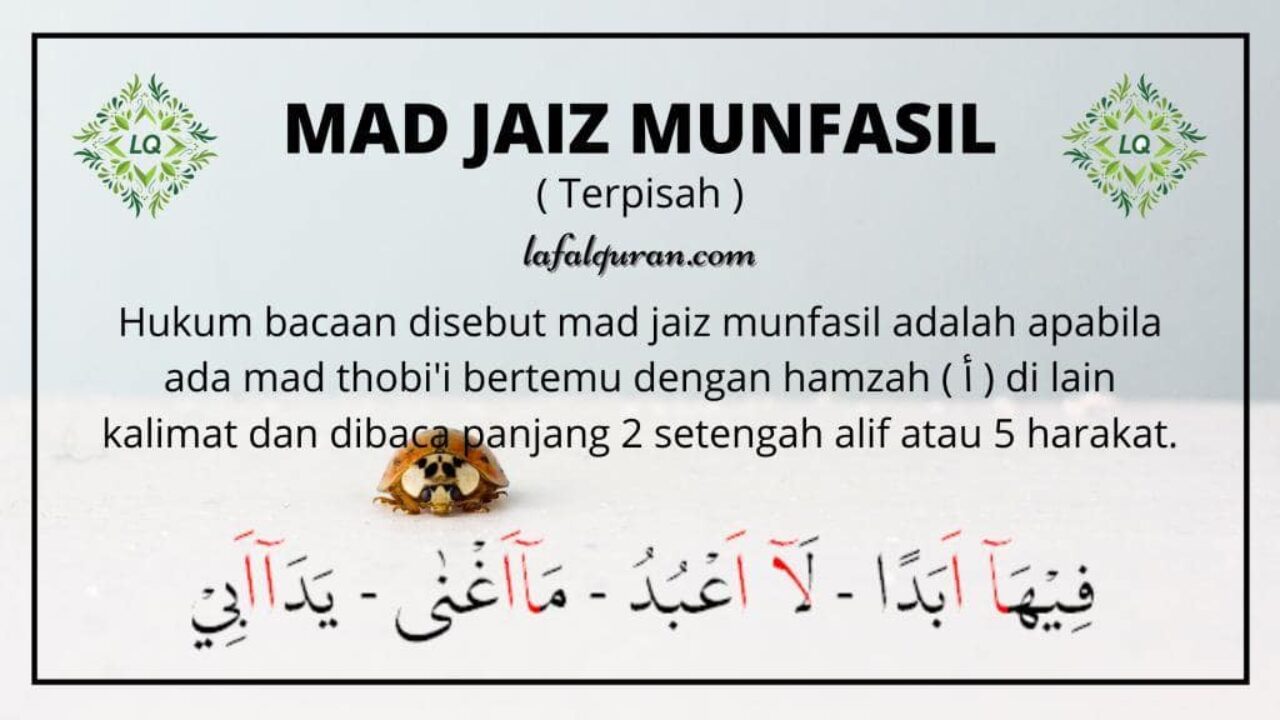 Detail Contoh Bacaan Mad Wajib Munfasil Nomer 11