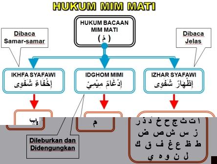 Detail Contoh Bacaan Mim Sukun Nomer 33