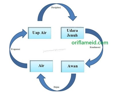 Contoh Bagan Siklus Air - KibrisPDR