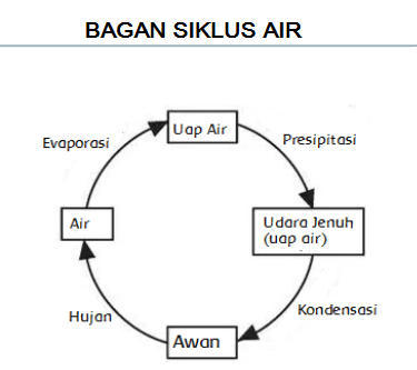 Detail Contoh Bagan Siklus Air Nomer 18