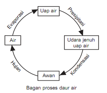 Detail Contoh Bagan Siklus Air Nomer 43