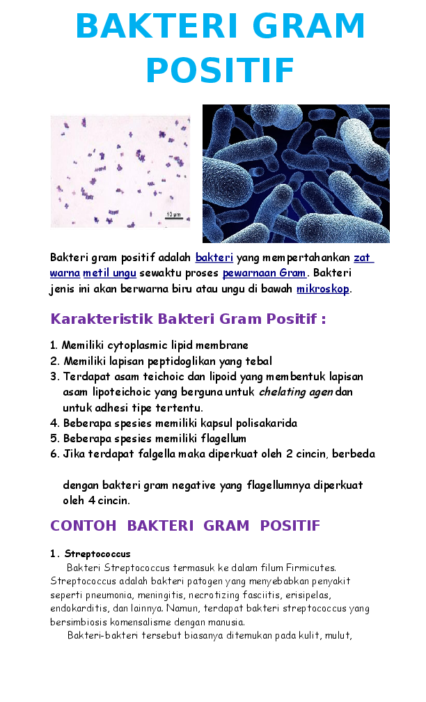 Detail Contoh Bakteri Gram Positif Dan Negatif Nomer 2