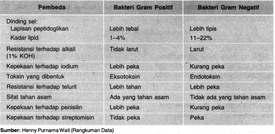 Detail Contoh Bakteri Gram Positif Dan Negatif Nomer 31