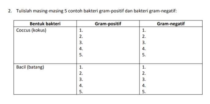 Detail Contoh Bakteri Gram Positif Dan Negatif Nomer 36