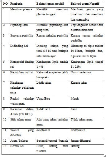 Detail Contoh Bakteri Gram Positif Dan Negatif Nomer 5