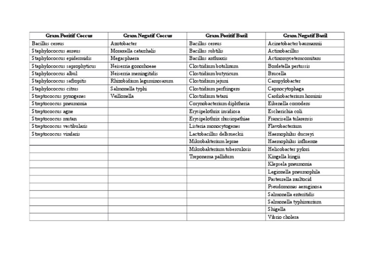 Detail Contoh Bakteri Gram Positif Dan Negatif Nomer 48