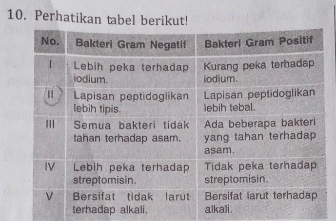 Detail Contoh Bakteri Gram Positif Dan Negatif Nomer 49