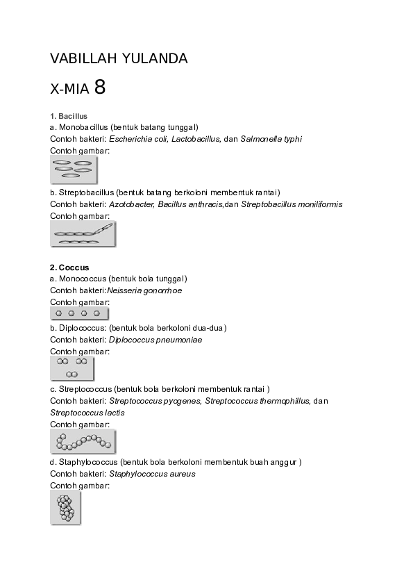 Detail Contoh Bakteri Streptococcus Nomer 49