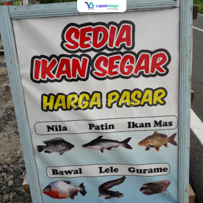 Detail Contoh Banner Jual Ikan Segar Nomer 17