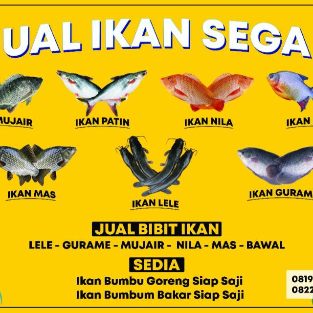 Detail Contoh Banner Jual Ikan Segar Nomer 25