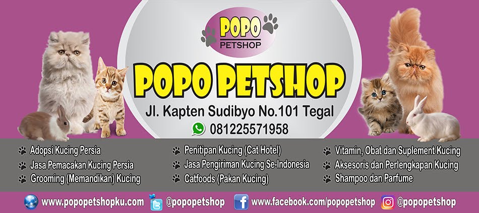 Detail Contoh Banner Petshop Nomer 22