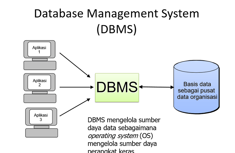 Detail Contoh Basis Data Nomer 16