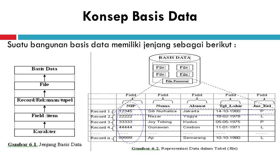 Detail Contoh Basis Data Nomer 17